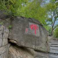Huayan Temple Route – Beginner-Friendly Guide (Full Hiking Version, estimated 1.5–3 hours)