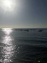 《宿霧時間不多,但玩水我全都要!一天把海島玩法一次滿足》