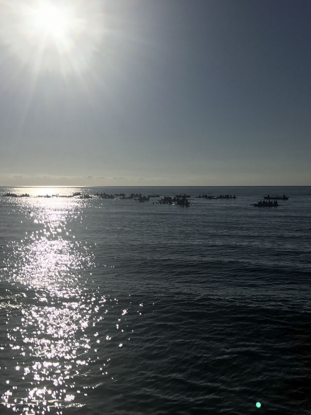 《宿霧時間不多,但玩水我全都要!一天把海島玩法一次滿足》 《宿霧時間不多,但玩水我全都要!一天把海島玩法一次滿足》