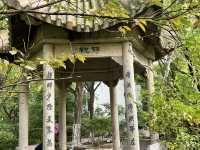 🌿 Jinan Wulongtan Park | The Easiest & Most Efficient Way to Explore