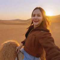 ขี่อูฐในทะเลทรายร้องเพลง