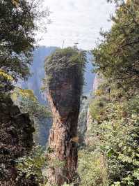中國湖南張家界一日遊 武陵源 張家界 天子山 金鞭溪