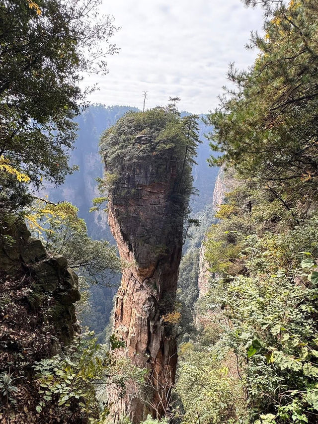 中國湖南張家界一日遊 武陵源 張家界 天子山 金鞭溪 中國湖南張家界一日遊 武陵源 張家界 天子山 金鞭溪