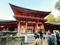 奈良春日大社～穿越千年的神秘能量場！萬盞石燈籠與神鹿共舞的仙境🦌🏮