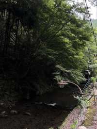 🇯🇵京都貴船流水麵🍜