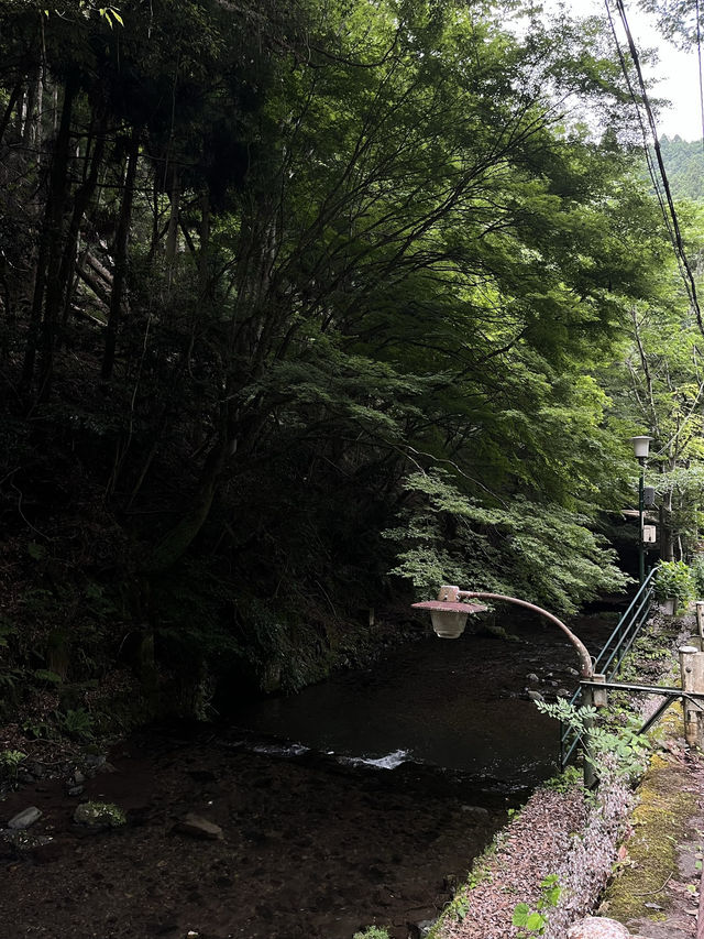 🇯🇵京都貴船流水麵🍜