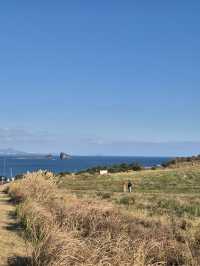 ☀️ 겨울의 제주 송악산 둘레길에서 만난 고요한 풍경 🌿
