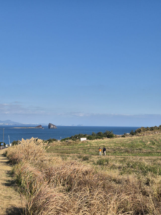 ☀️ 겨울의 제주 송악산 둘레길에서 만난 고요한 풍경 🌿