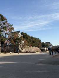 冬日暖陽照亮金鯱:名古屋城聖誕一日遊的奇蹟與浪漫