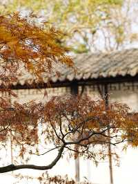 【拙政园】蘇州の秋を象徴するような🍁穏やかで美しい時間でした🍁