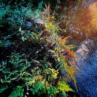 Evening Stroll at Land of Angels Waterpark