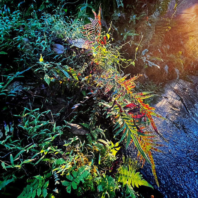 Evening Stroll at Land of Angels Waterpark