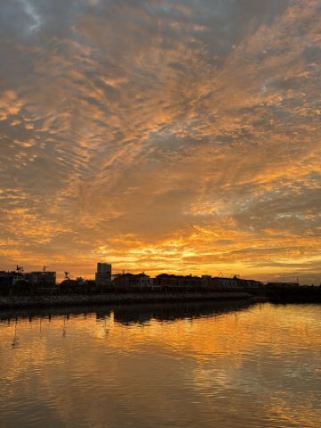 Modern Nature Escape🌳