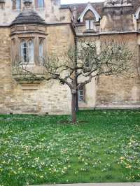 เที่ยวให้ถึงฟีลไม่ใช่แค่ถึงที่—เคล็ดลับไปCambridge