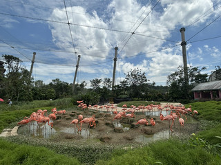 Discovering a Bird Paradise in Singapore.