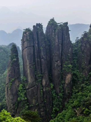 ☁️ Mount Sanqing | A Misty Journey Above the Clouds
