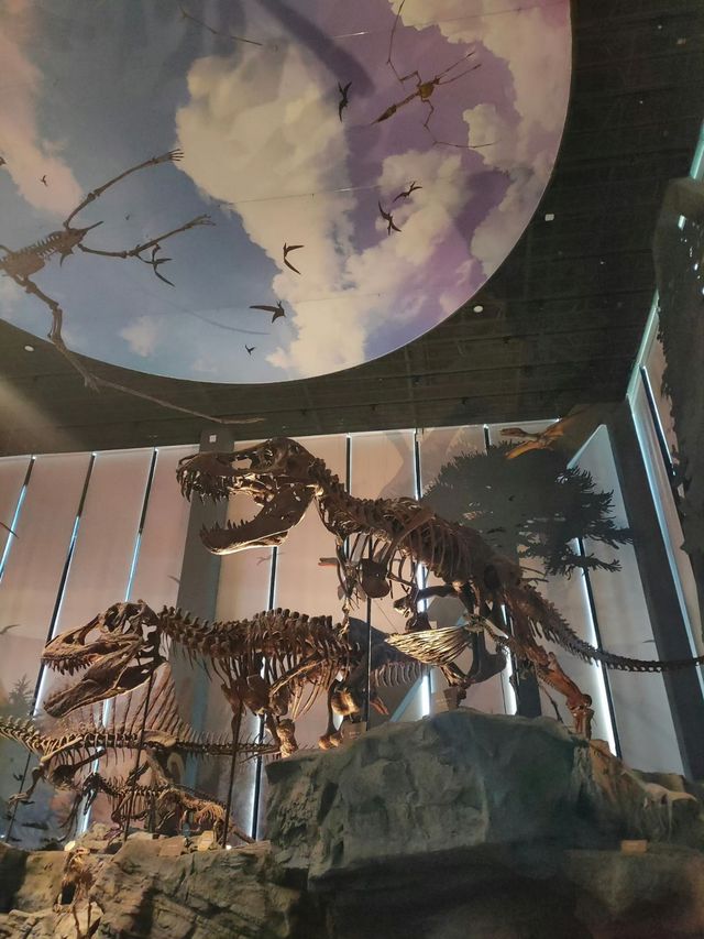 🦕 Baoding Natural History Museum | Bigger, Better, and Worth the Journey