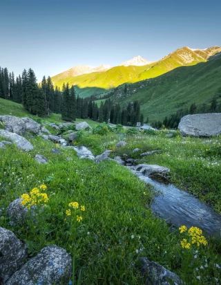 The Underrated Hidden Paradise of Bulong Valley