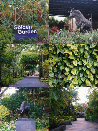 Hidden Nature Feeling in Singapore: My Golden Garden Walk