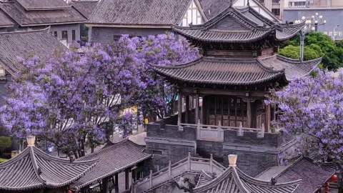 欣賞富民上河園內盛開的紫薇花,這座迷人的古老建築籠罩在浪漫的紫色薄紗之中。 💜🌸 — traveler post in 富民