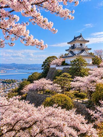 Kitsuki Castle: The Enchanting Seaside Fortress of Oita Prefecture