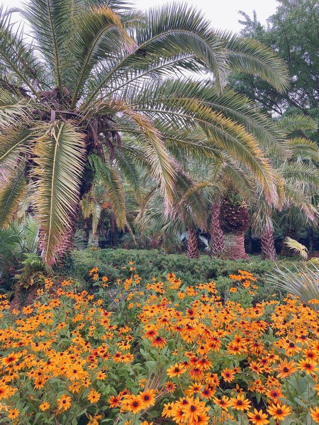 부모님과 함께하는 제주도 가족여행 코스 2탄🌴