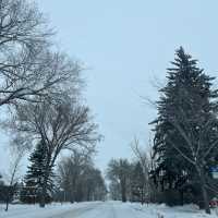 Edmonton Toronto 