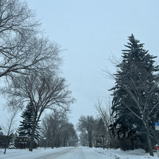 Edmonton Toronto 