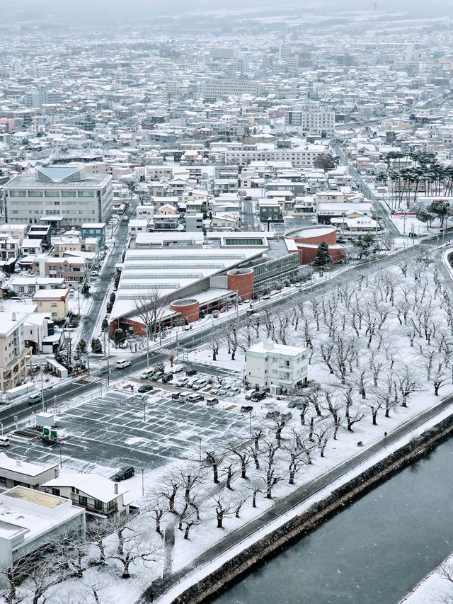 五稜郭塔 🌟  俯瞰星形要塞，探索函館的歷史與文化