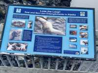 The city of Island KODIAK,Alaska 