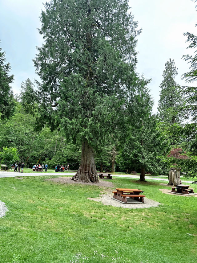 🇨🇦North Vancouver에 꼭 가봐야할 폭포Shannon falls park🎈