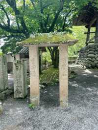 🏮【伊豆修善寺】隱世古町的日式療癒之旅🌿｜溫泉、竹林小徑、禪意滿滿✨
