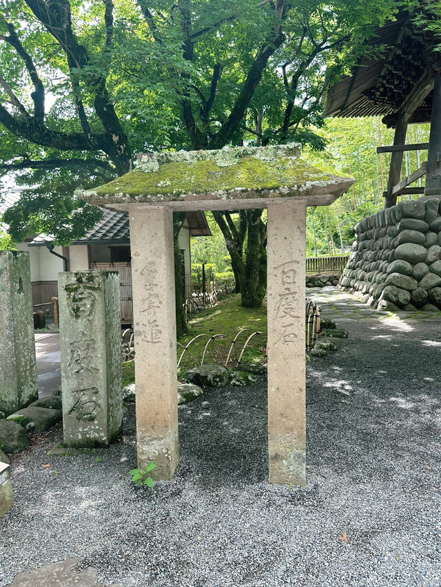 🏮【伊豆修善寺】隱世古町的日式療癒之旅🌿｜溫泉、竹林小徑、禪意滿滿✨
