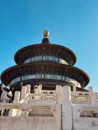 Temple Wonders🏯