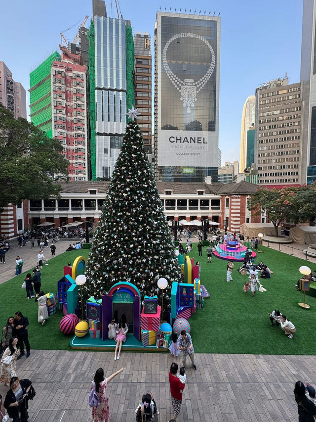 Where Stone Walls Breathe Starlight Where Stone Walls Breathe Starlight