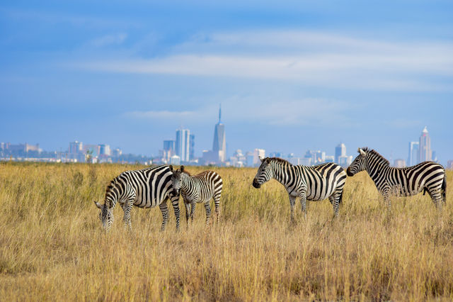 Destination Kenya