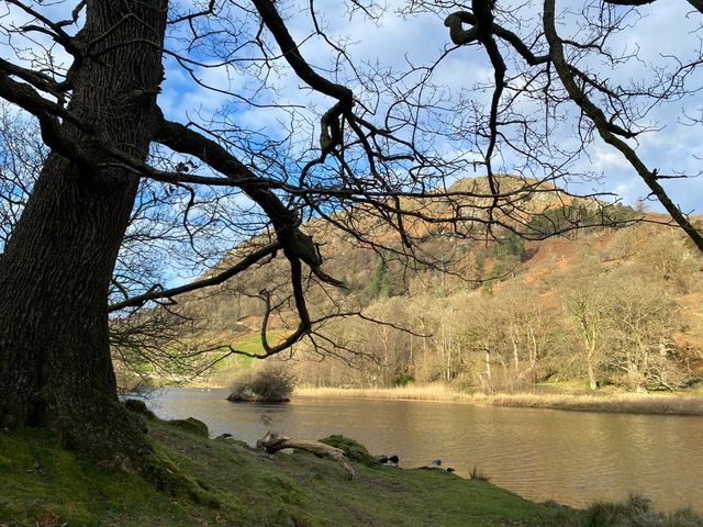 🏞️ Rydal Water:Mirror of Lakeside Tranquilit