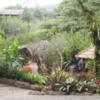 Visit Hummingbird gardens Costa Rica 