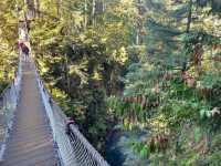 Lynn Canyon Suspension Bridge 🇨🇦