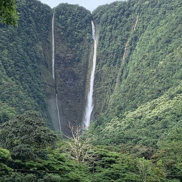 Quench your thirst for LIFE! Aloha Hawaii!