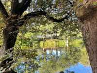 Golders Hill Park 🇬🇧