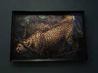Hamiltons Gallery: Where Art Unveils Stories
