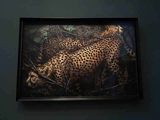 Hamiltons Gallery: Where Art Unveils Stories