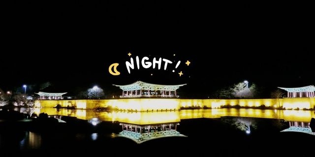 【雁鴨池】夜晚湖光倒影不容錯過