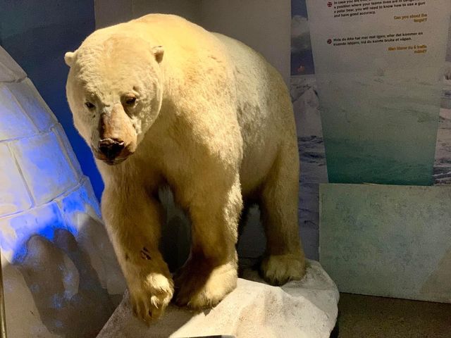 The Fram Museum 🗺️