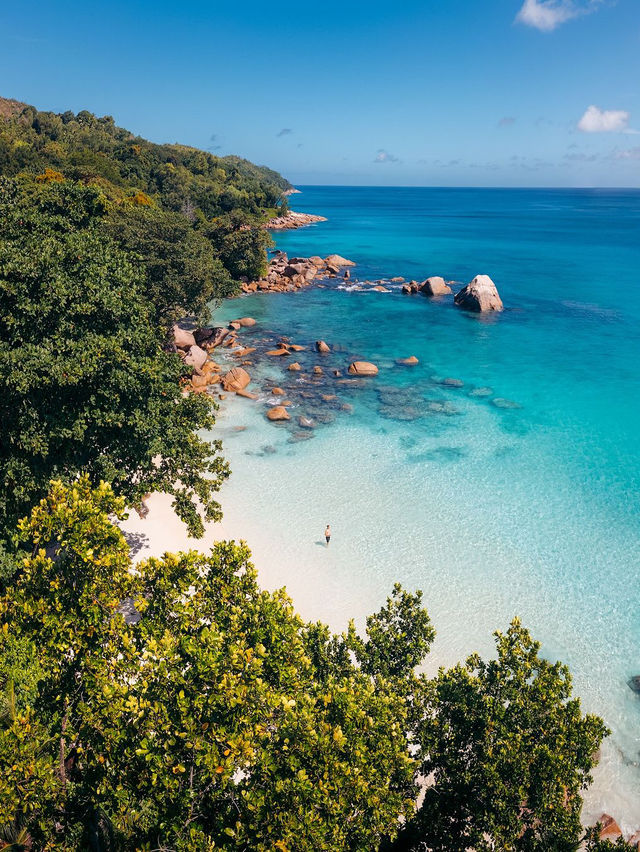 Constance Lemuria Praslin Seychelles