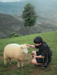 Akha Farmville