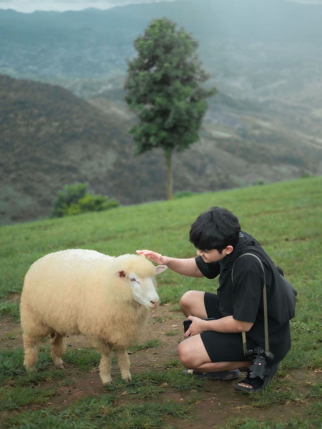 Akha Farmville