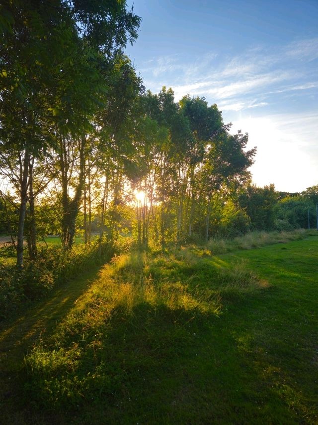 Greeny UK, lovely forests!