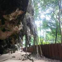 Day Trip to Krabi